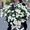 Гвоздика Кустовая Вайт Барбара &quot;Флорекиса&quot; 60см